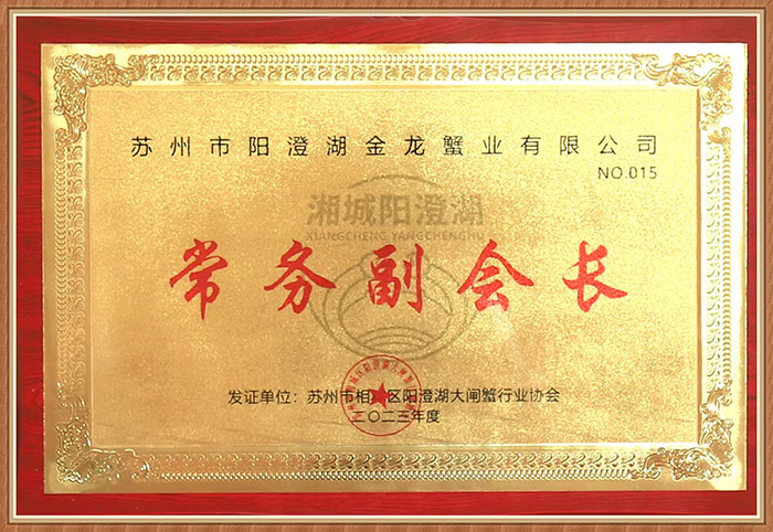 常務(wù)副會長