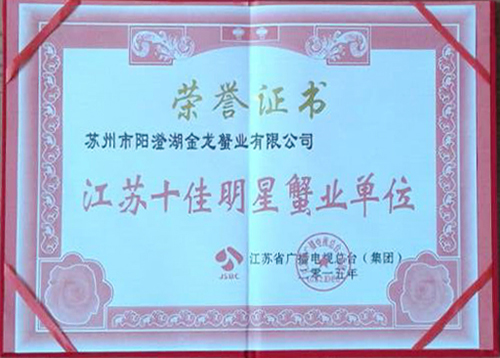 榮譽(yù)證書(shū)