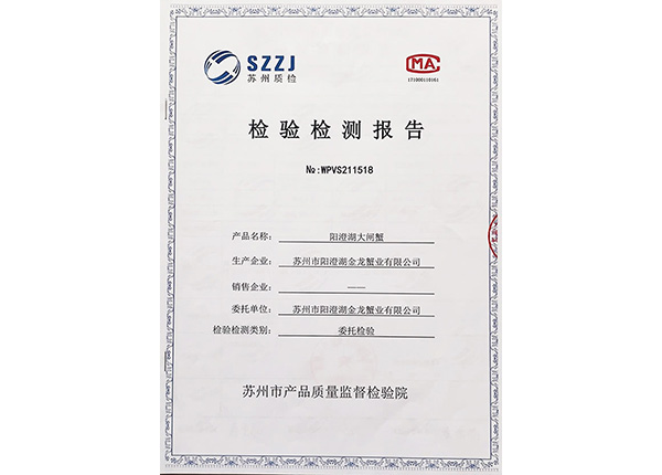 檢驗(yàn)檢測(cè)報(bào)告